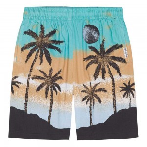 Molo Adi Boys' Shorts Holiday Island | ZA0000690