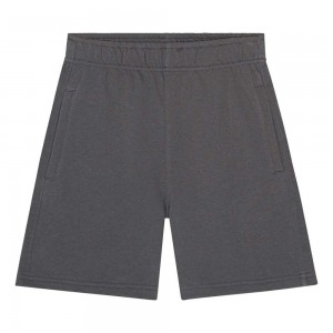 Molo Adian Boys' Shorts Iron Gate | ZA0000714