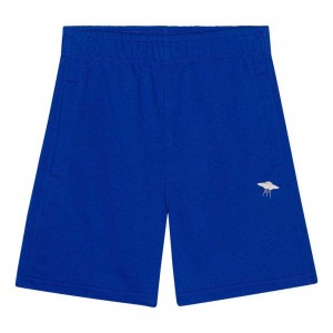 Molo Adian Boys' Shorts Reef Blue | ZA0000728