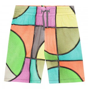 Molo Alim Boys' Shorts Basket Colour | ZA0000694