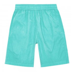 Molo Arrow Boys' Shorts Pacific | ZA0000689