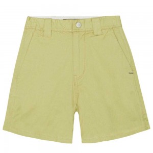 Molo Ashby Boys' Shorts Sage | ZA0000712