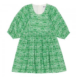 Molo Caio Girls' Dresses Notes Of Green | ZA0000256