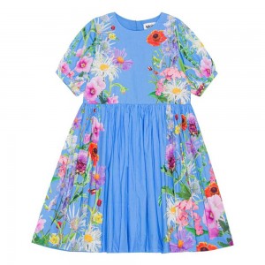 Molo Casey Girls' Dresses Blue Garden | ZA0000245