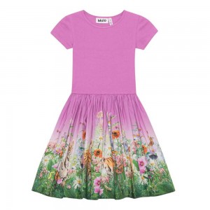 Molo Cissa Girls' Dresses Four Little Cubs | ZA0000250