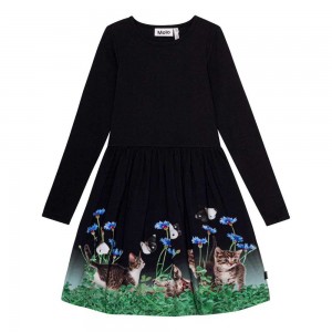 Molo Credence Girls' Dresses Yin Yang Kitten | ZA0000275