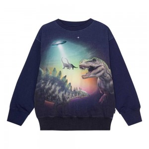 Molo Mattis Boys' Sweatshirts Cardigans Beam Up Dinos | ZA0000755