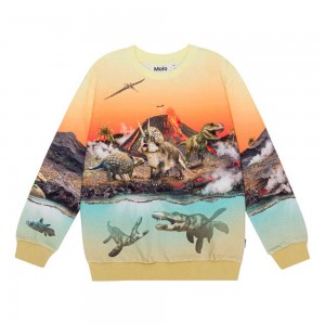 Molo Miksi Boys' Sweatshirts Cardigans Volcano Dinos | ZA0000743