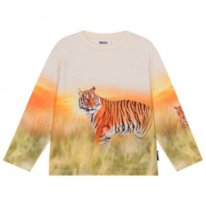 Molo Mountoo Boys' Sweatshirts Cardigans Sunrise Tiger | ZA0000767