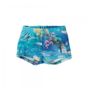 Molo Nansen Swimshorts Ocean Zones | ZA0001138