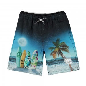 Molo Neal Swimshorts Sunset Surfer | ZA0001124