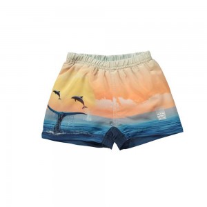 Molo Newton Swimshorts Ocean Smile | ZA0001149