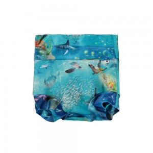 Molo Nick Swimshorts Ocean Zones | ZA0001135