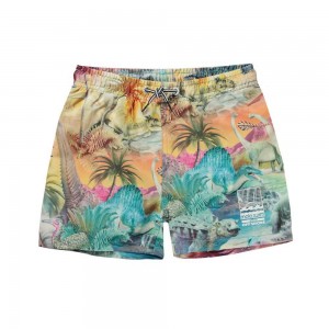 Molo Niko Swimshorts Dino Paradis | ZA0001132