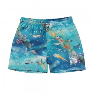 Molo Niko Swimshorts Ocean Zones | ZA0001137