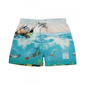 Molo Niko Swimshorts Sealion | ZA0001116