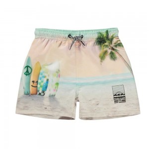 Molo Niko Swimshorts Sunrise Surfer | ZA0001120