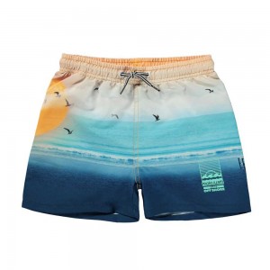 Molo Niko Swimshorts Sunset Beach | ZA0001145