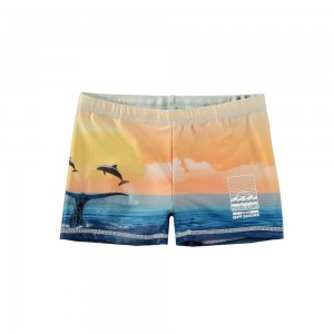 Molo Norton Placed Swimshorts Ocean Smile | ZA0001144