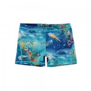 Molo Norton Swimshorts Ocean Zones | ZA0001136