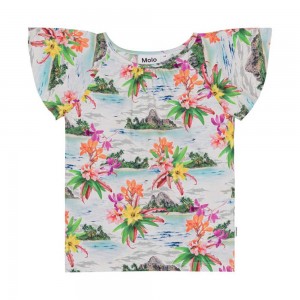 Molo Rachel Girls' T Shirts Tops Tropical Islands | ZA0000516