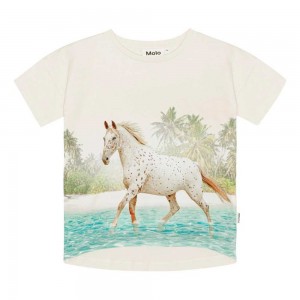 Molo Raeesa Girls' T Shirts Tops Horse On Beach | ZA0000523