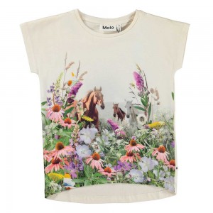 Molo Ragnhilde Girls' T Shirts Tops Wild Horses | ZA0000199