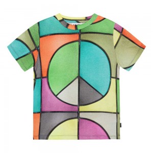 Molo Ralphie Boys' T Shirts Tops Basket Colour | ZA0000779