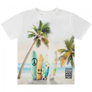 Molo Rame Boys' T Shirts Tops Sunrise Surfer | ZA0000774