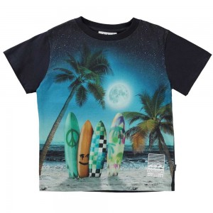 Molo Rame Boys' T Shirts Tops Sunset Surfer | ZA0000814