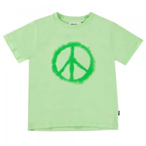 Molo Rame Boys' T Shirts Tops Water Peace | ZA0000638