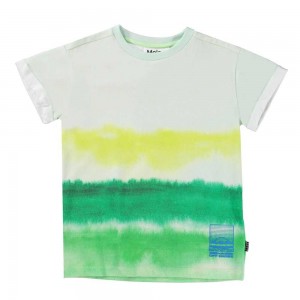 Molo Randon Boys' T Shirts Tops Aqua Green | ZA0000636