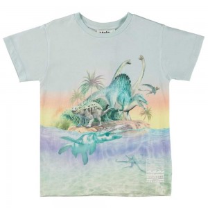 Molo Raul Boys' T Shirts Tops Ancient Island | ZA0000630