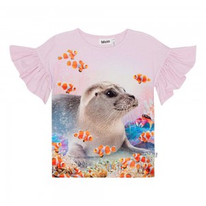 Molo Rayah Girls' T Shirts Tops Seal Reef | ZA0000498