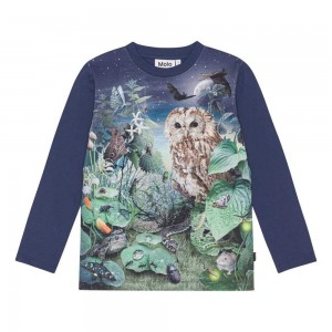 Molo Reif Boys' T Shirts Tops Night Garden | ZA0000828