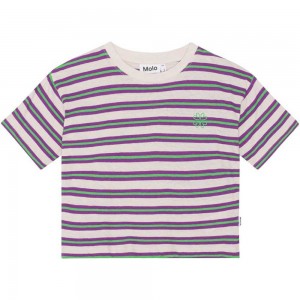 Molo Reinette Girls' T Shirts Tops Purple Green Stripe | ZA0000531