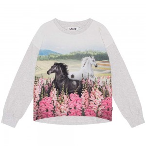 Molo Reniza Girls' T Shirts Tops Meadow Horses | ZA0000573