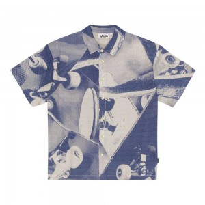 Molo Richie Boys' Shirts Skate Universe | ZA0000684