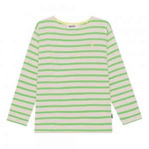 Molo Rilder Boys' T Shirts Tops Grass Stripe | ZA0000833