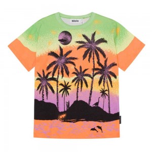 Molo Riley Boys' T Shirts Tops Alien Island | ZA0000773