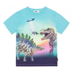 Molo Riley Boys' T Shirts Tops Beaming Dinos | ZA0000829