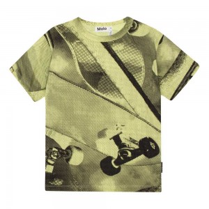 Molo Riley Boys' T Shirts Tops Boards | ZA0000823