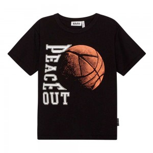 Molo Riley Boys' T Shirts Tops Ember Basket | ZA0000804