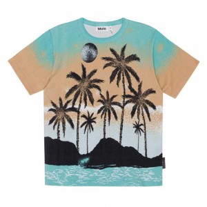 Molo Riley Boys' T Shirts Tops Holiday Island | ZA0000778