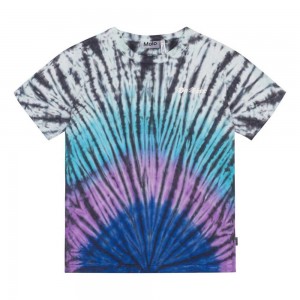 Molo Riley Boys' T Shirts Tops Lit Dye | ZA0000851