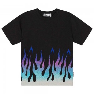 Molo Riley Boys' T Shirts Tops Lit | ZA0000849