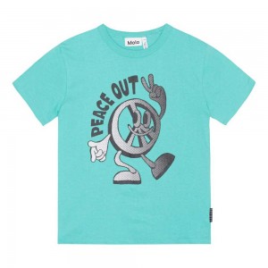 Molo Riley Boys' T Shirts Tops Pacific | ZA0000830