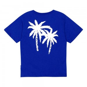 Molo Riley Boys' T Shirts Tops Reef Blue | ZA0000770