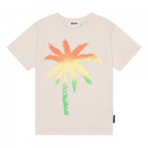 Molo Riley Boys' T Shirts Tops Spray Palm | ZA0000769