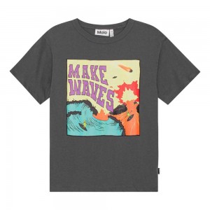 Molo Riley Boys' T Shirts Tops Surf On Fire | ZA0000811